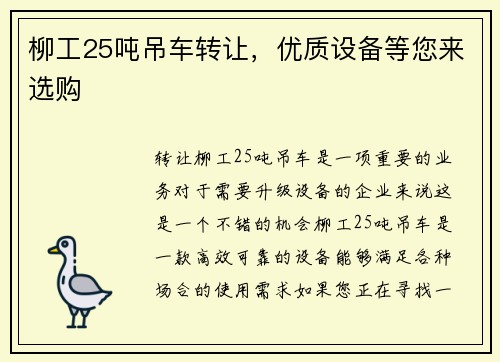 柳工25吨吊车转让，优质设备等您来选购